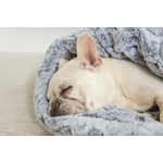 snugge_bed_husky_gray_frenchie