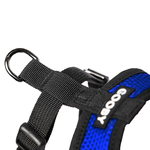 blue-comfort-x-head-in-harness-d-ring-close-up-view-1024x1024_1260x