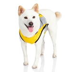 SAfety vest 1