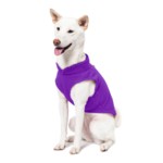 a-shiba-inu-wearing-gooby-lavender-fleece-vest-sitting-down-and-smiling-side-45-degrees-view-1024x1024px
