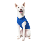 a-shiba-inu-wearing-gooby-deep-blue-fleece-vest-sitting-down-front-view-1024x1024px