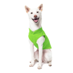 a-shiba-inu-wearing-gooby-lime-fleece-vest-sitting-down-front-view-1024x1024px