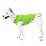 a-shiba-inu-wearing-gooby-lime-fleece-vest-standing-up-side-view-1024x1024px