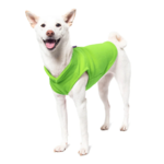a-shiba-inu-wearing-gooby-lime-fleece-vest-standing-up-side-45-degrees-view-1024x1024px