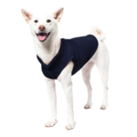 a-shiba-inu-wearing-gooby-navy-fleece-vest-standing-up-side-45-degrees-view-1024x1024px