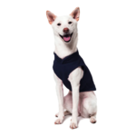 a-shiba-inu-wearing-gooby-navy-fleece-vest-sitting-down-front-view-1024x1024px