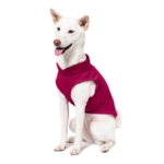 a-shiba-inu-wearing-gooby-fuschia-fleece-vest-sitting-down-and-smiling-side-45-degrees-view-1024x1024px
