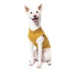 a-shiba-inu-wearing-gooby-honey-mustard-fleece-vest-sitting-down-front-view-1024x1024px