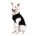 a-shiba-inu-wearing-gooby-black-fleece-vest-sitting-down-and-smiling-side-45-degrees-view-1024x1024px