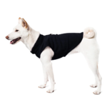 a-shiba-inu-wearing-gooby-black-fleece-vest-standing-up-side-view-1024x1024px