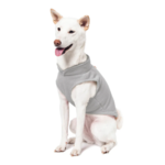 a-shiba-inu-wearing-gooby-gray-fleece-vest-sitting-down-and-smiling-side-45-degrees-view-1024x1024px