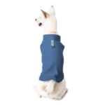 a-shiba-inu-wearing-gooby-blue-fleece-vest-with-gray-tag-sitting-down-back-view-1024x1024px