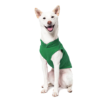 a-shiba-inu-wearing-gooby-green-fleece-vest-sitting-down-front-view-1024x1024px