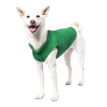a-shiba-inu-wearing-gooby-green-fleece-vest-standing-up-side-45-degrees-view-1024x1024px