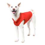 a-shiba-inu-wearing-gooby-pumpkin-fleece-vest-standing-up-side-45-degrees-view-1024x1024px