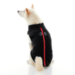 gooby-office-dog-loki-a-white-shiba-inu-wearing-black-zip-up-fleece-vest-sitting-down-back-view-1024x1024px