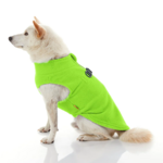 gooby-office-dog-loki-a-white-shiba-inu-wearing-lime-zip-up-fleece-vest-sitting-down-side-view-1024x1024px
