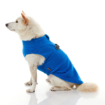 gooby-office-dog-loki-a-white-shiba-inu-wearing-blue-zip-up-fleece-vest-sitting-down-side-view-1024x1024px