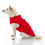 gooby-office-dog-loki-a-white-shiba-inu-wearing-red-zip-up-fleece-vest-sitting-down-side-view-1024x1024px