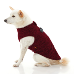 gooby-office-dog-loki-a-white-shiba-inu-wearing-fuschia-zip-up-fleece-vest-sitting-down-side-view-1024x1024px