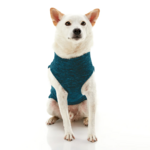gooby-office-dog-loki-a-white-shiba-inu-wearing-turquoise-zip-up-fleece-vest-sitting-down-front-view-1024x1024px_c9967242-cd81-4eae-a340-562f89030848