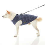 gooby-office-dog-loki-a-white-shiba-inu-wearing-gray-zip-up-fleece-vest-with-leash-standing-up-down-side-view-1024x1024px