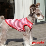 beach-party-dog-shirtpuppia-red-9826