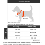 Taille Gooby Pioneer