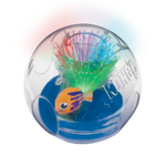 imageAquarium