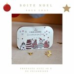 Boite-argent-chat-Noel-600x600