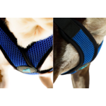 04234-comfort-x-step-in-lite-maximum-comfort-feature-shot-1200x800px-tinified
