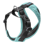 escape-free-comfort-x-one-seattle-blue-back-top-side-45-degree-loose-view-2048x2048px