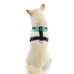 gooby-office-dog-loki-a-shiba-inu-sitting-wearing-escape-free-comfort-x-one-in-seattle-blue-back-view-2048x2048px