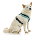gooby-office-dog-loki-a-shiba-inu-sitting-wearing-escape-free-comfort-x-one-in-seattle-blue-side-view-2048x2048px