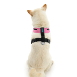 gooby-office-dog-loki-a-shiba-inu-sitting-wearing-escape-free-comfort-x-one-in-flamingo-pink-back-view-2048x2048px-tinified