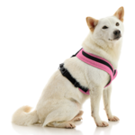 gooby-office-dog-loki-a-shiba-inu-sitting-wearing-escape-free-comfort-x-one-in-flamingo-pink-side-view-2048x2048px-tinified