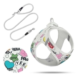1301-0202-LE25SET-959-MAIN-Set-Vest-Harness-curli-clasp-Air-Mesh-LE25-Comic-Light-Gray_Adobe_RGB_240PPI_2000x2000-720x720