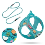 1301-0202-LE25SET-617-MAIN-Set-Vest-Harness-curli-clasp-Air-Mesh-LE25-Comic-Tourquise_Adobe_RGB_240PPI_2000x2000-720x720