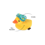 P.L.A.Y.SplishSplash_DuckInfo_LowRes_d4f83dac-f251-412f-ab88-00e10a324986