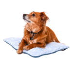 Jake_on_Sleeper4_Transparent