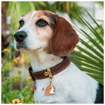 medaille-friends-beagle (2)