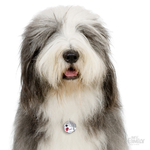 0026927_old-english-sheepdog-dog-tag