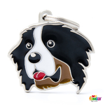 0027287_berner-dog-tag