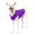 a-shiba-inu-wearing-gooby-lavender-fleece-vest-standing-up-side-45-degrees-view-1024x1024px (1)