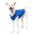 a-shiba-inu-wearing-gooby-deep-blue-fleece-vest-standing-up-side-45-degrees-view-1024x1024px