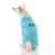 gooby-office-dog-loki-a-white-shiba-inu-wearing-turquoise-zip-up-fleece-vest-sitting-down-back-view-1024x1024px