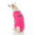 gooby-office-dog-loki-a-white-shiba-inu-wearing-pink-zip-up-fleece-vest-sitting-down-back-view-1024x1024px