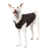 a-shiba-inu-wearing-gooby-brown-fleece-vest-standing-up-side-45-degrees-view-1024x1024px_c73e6f1f-b067-4890-b949-add66a9bee1c