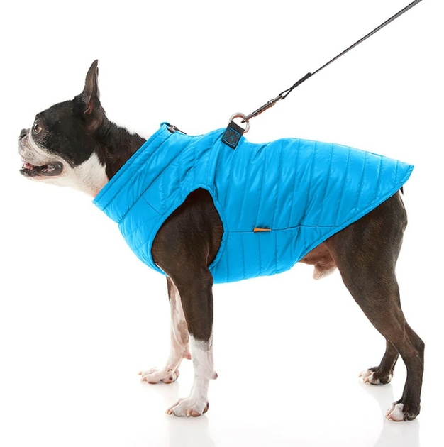 Veste matelass?�e Bleue - Nouvelle g?�n?�ration Gooby Pet pour chien