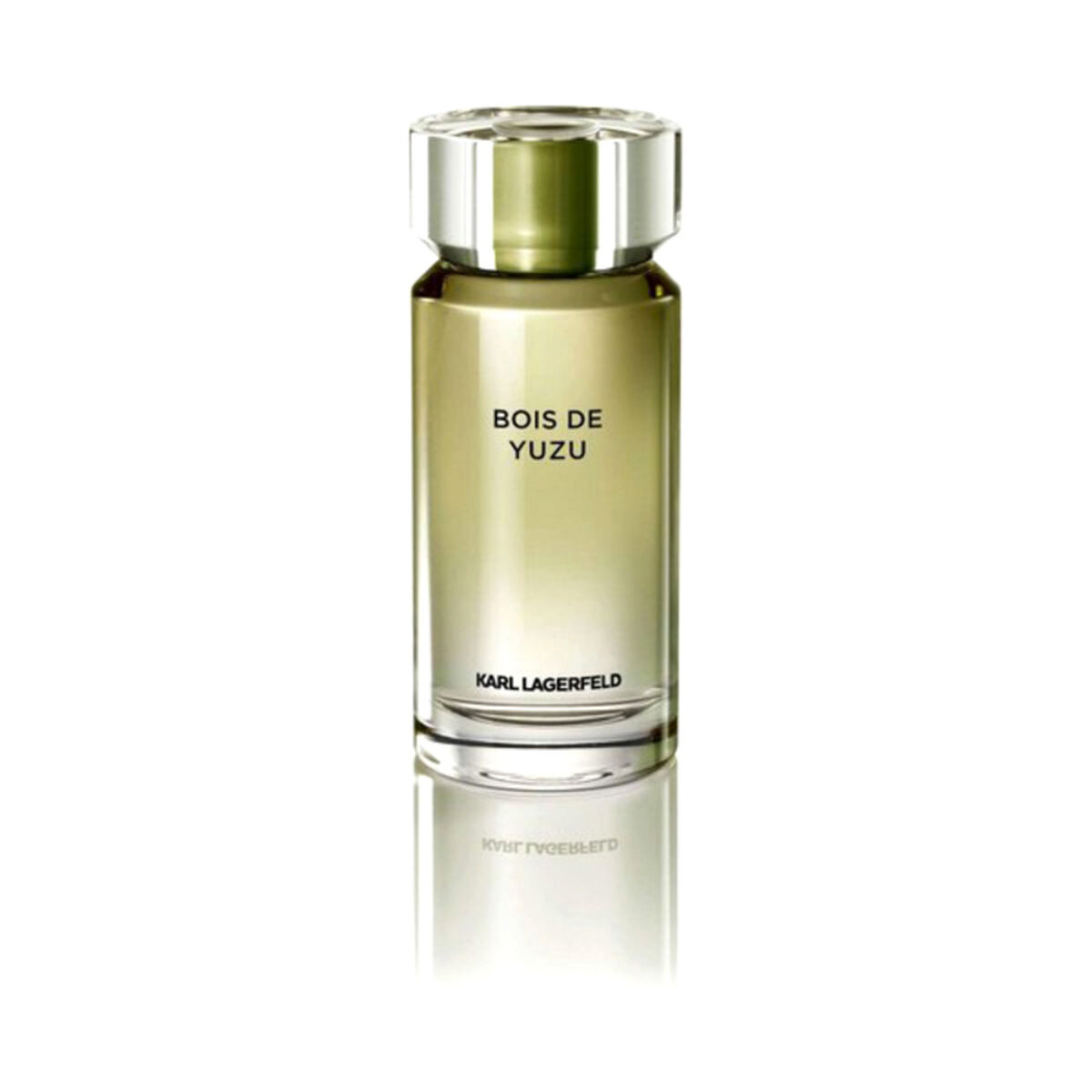 parfum-homme-lagerfeld-kl008a03-edt-100-ml_82747